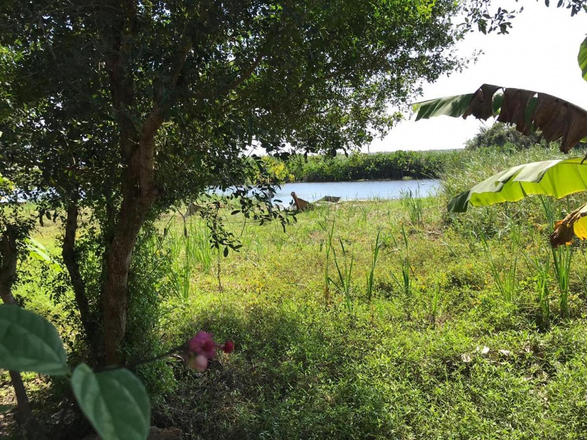 Pousada Mangue Seco Itaunas  Kültér fotó